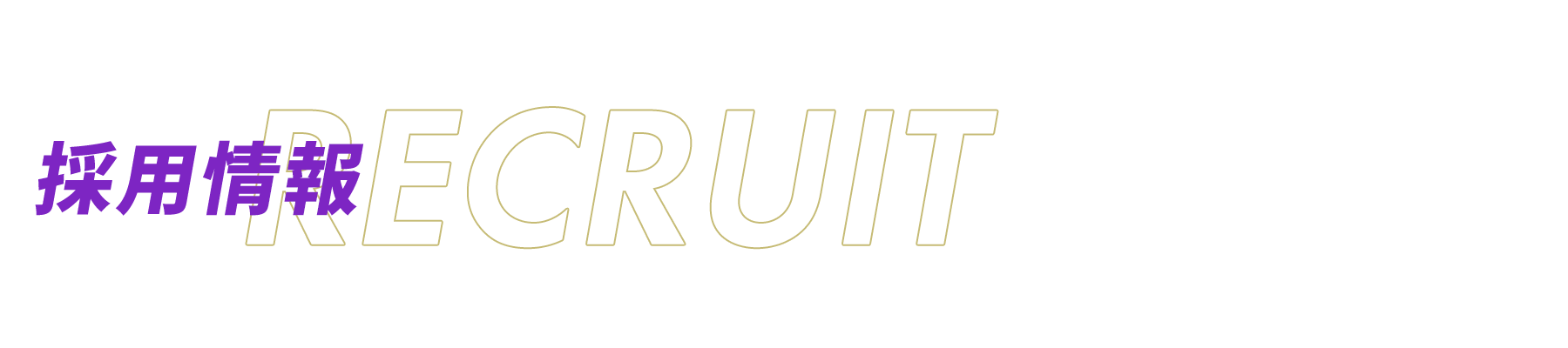 採用情報